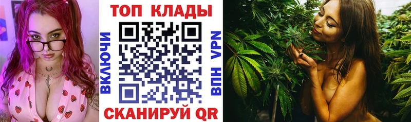 Купить закладку Метадон  Меф мяу мяу  ГАШИШ  Венёв