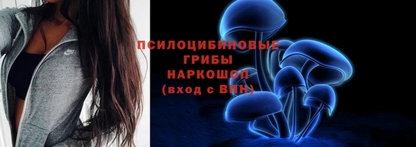 сатива Кодинск