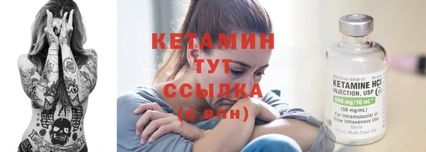 сатива Кодинск