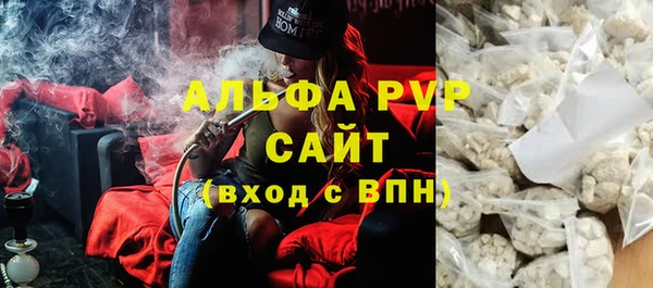 сатива Кодинск