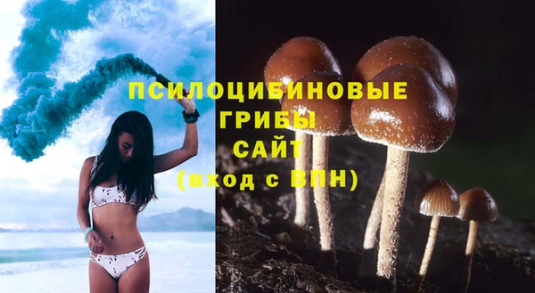 сатива Кодинск