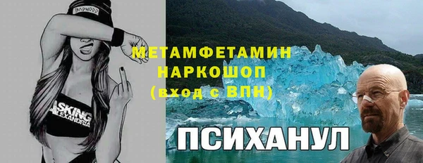 сатива Кодинск