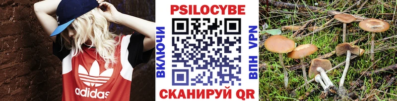 Псилоцибиновые грибы GOLDEN TEACHER  Купить  Венёв 